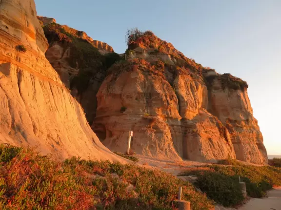 Very beautiful beach in a canyon of tall palms and red gold cliffs.