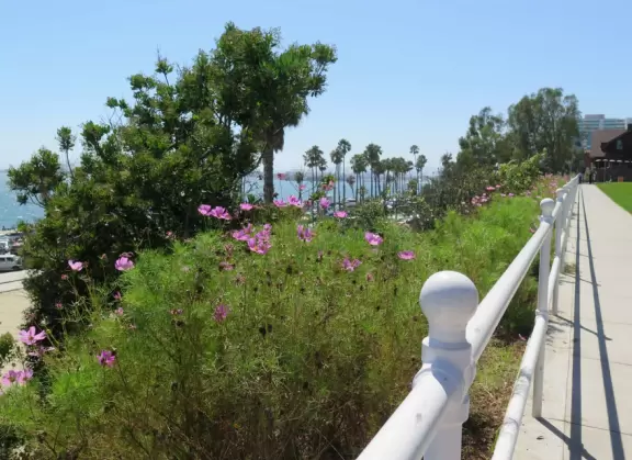 Fantastic place to be, up high above the sea and beach.