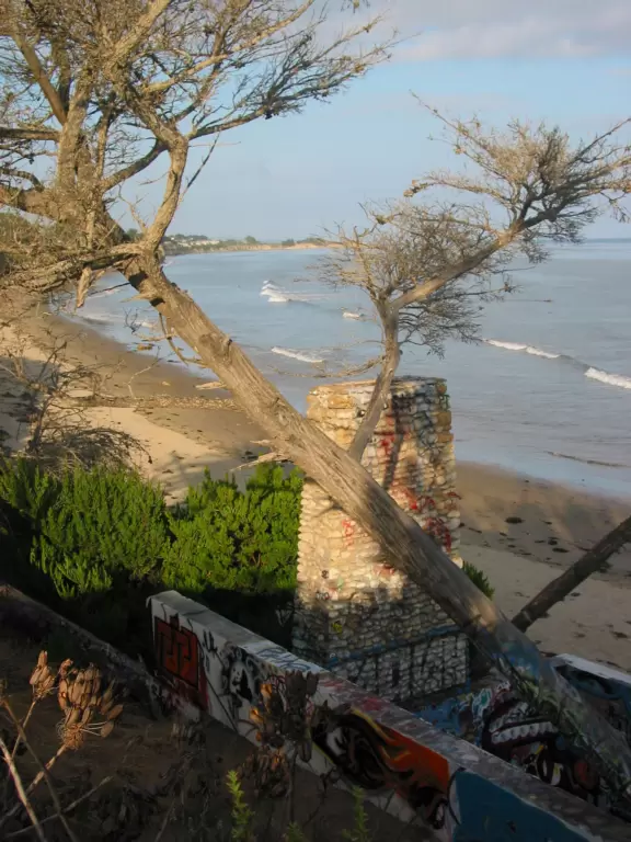 A walk along a clifftop to a popular surfing area with gorgeous sand dunes and exotic plants.