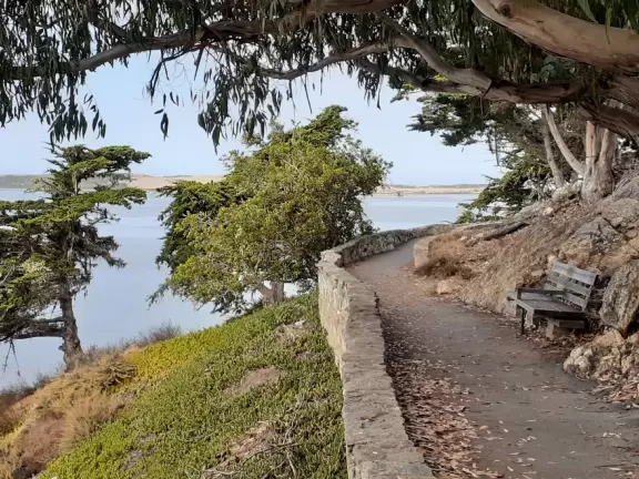 Blissful views of estuary and sailboats, eucalyptus trees, cypress trees, the bay and a little rocky point. Also called Windy Cove Hike.&nbsp;