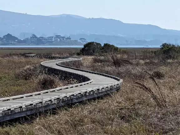 Flat wooden boardwalk loop trail along the estuary- you see divebombing pelicans, Morro Rock, cypress trees on the hills opposite, salt marsh, and mountains in the distance.