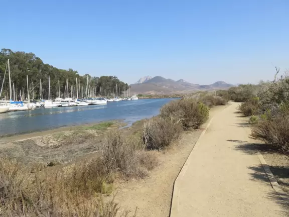 Flat wooden boardwalk loop trail along the estuary- you see divebombing pelicans, Morro Rock, cypress trees on the hills opposite, salt marsh, and mountains in the distance.