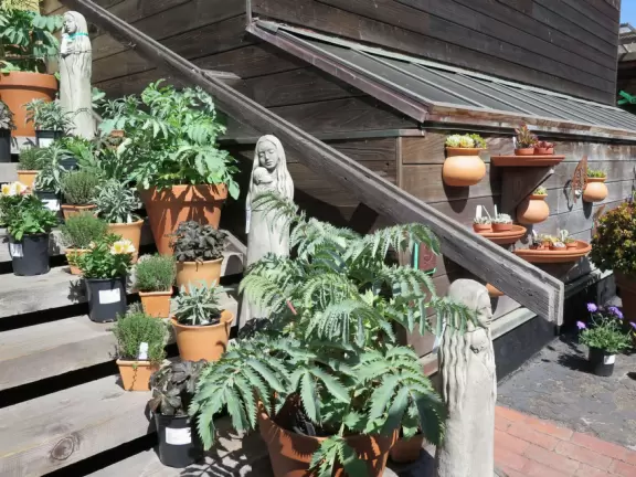 A delightful rock, beautiful wildlife, peaceful idyllic estuary, imaginative playground, and colorful little town.