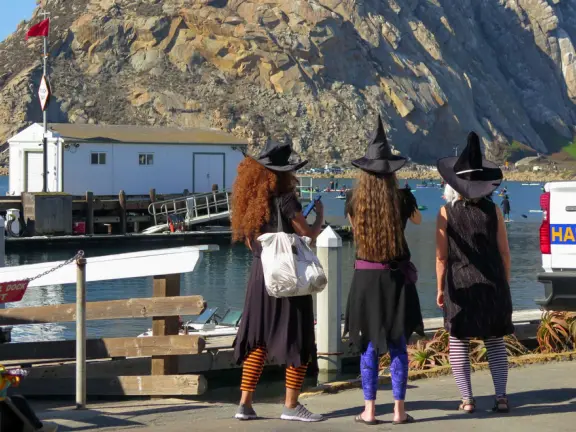 Three women dressed as witches. 