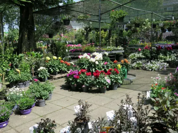 Cute historic main street with amazing architecture, good restaurants, and a little, leafy church yard.
