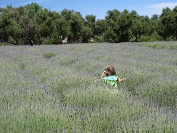 An idyllic spot in June or July- feels like you're in Provence!