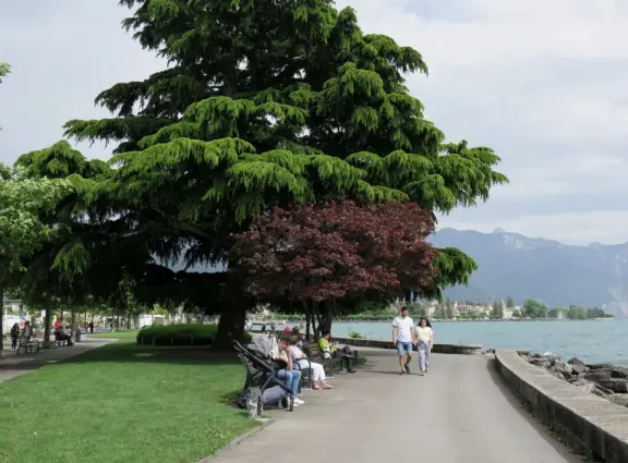 Beautiful waterfront walking path with flower beds, giant fork sculpture on the water, food museum with interesting garden, and square with historic buildings and cafes.