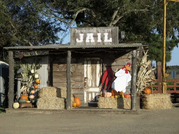 Beautiful pumpkin patch, in-ground trampolines, games, and a huge corn maze with two bridges in a gorgeous setting with mountain views.