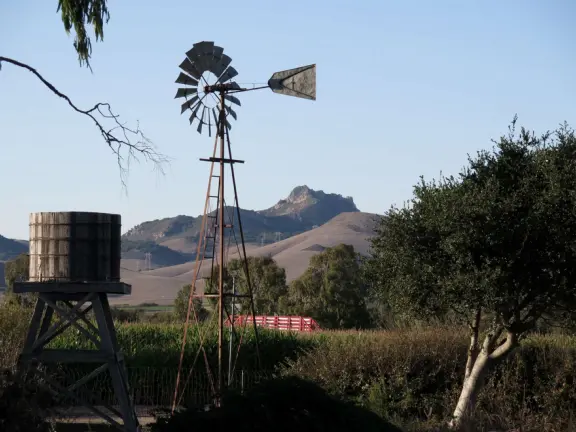 Beautiful pumpkin patch, in-ground trampolines, games, and a huge corn maze with two bridges in a gorgeous setting with mountain views.