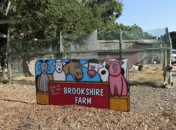 Beautiful pumpkin patch, in-ground trampolines, games, and a huge corn maze with two bridges in a gorgeous setting with mountain views.