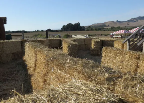 Beautiful pumpkin patch, in-ground trampolines, games, and a huge corn maze with two bridges in a gorgeous setting with mountain views.
