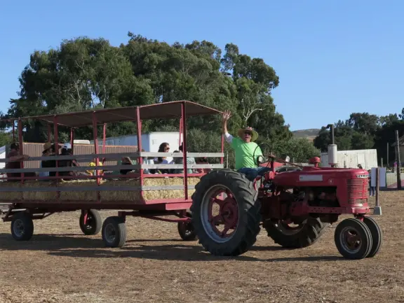 Beautiful pumpkin patch, in-ground trampolines, games, and a huge corn maze with two bridges in a gorgeous setting with mountain views.