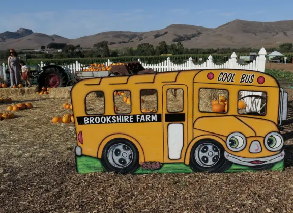 Beautiful pumpkin patch, in-ground trampolines, games, and a huge corn maze with two bridges in a gorgeous setting with mountain views.
