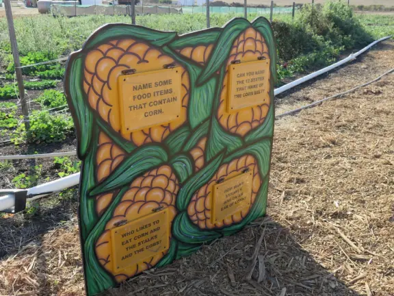 Beautiful pumpkin patch, in-ground trampolines, games, and a huge corn maze with two bridges in a gorgeous setting with mountain views.