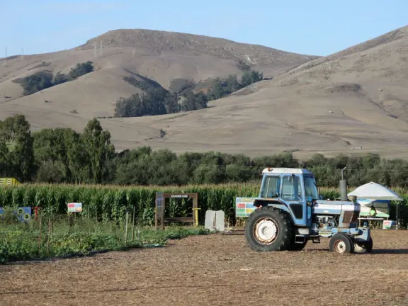 Beautiful pumpkin patch, in-ground trampolines, games, and a huge corn maze with two bridges in a gorgeous setting with mountain views.