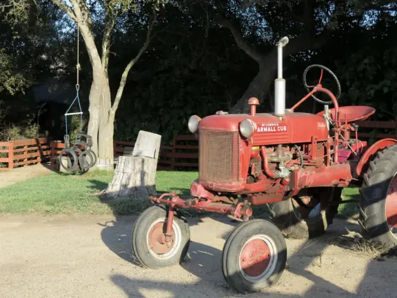 Beautiful pumpkin patch, in-ground trampolines, games, and a huge corn maze with two bridges in a gorgeous setting with mountain views.