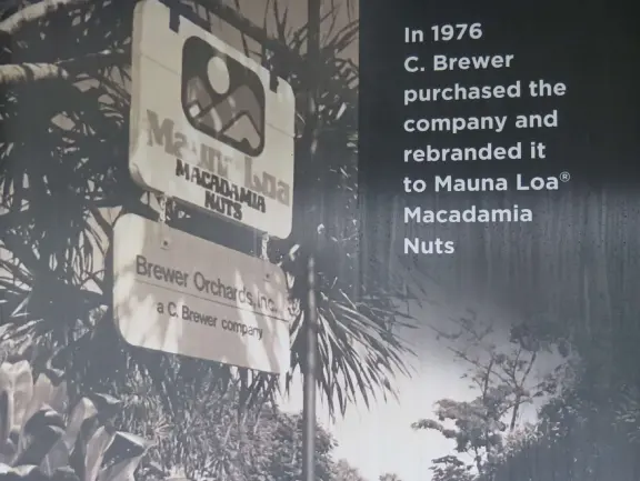Lovely drive on a road lined with Norfolk pines, through macadamia nut fields, to a shop and lawn where you can see various tropical plants.