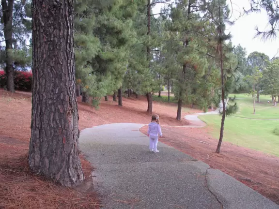 Neighborhood park shaped like a bowl with playground, forest, wooden bridges, and winding paths.