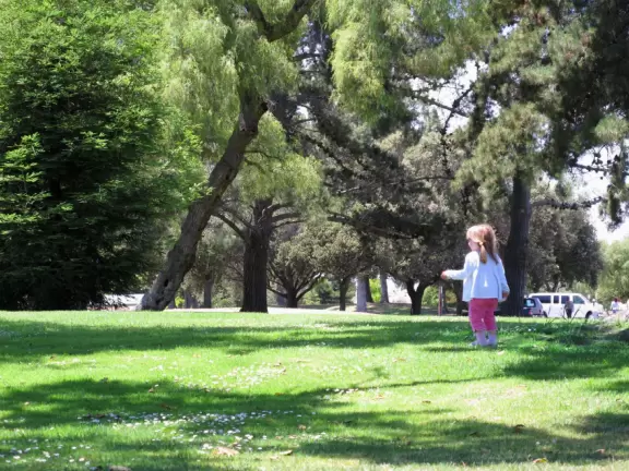 Large park with gazebo beside a lake with a fountain in the middle, pirate ship, manmade river, playground with huge slides, grassy hills galore, and pine trees.