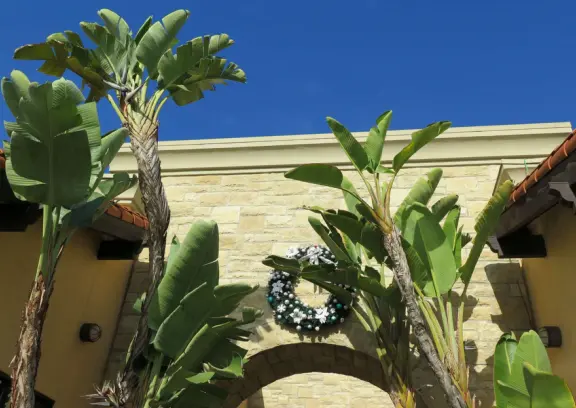 Banana trees and honeycomb stonework. 