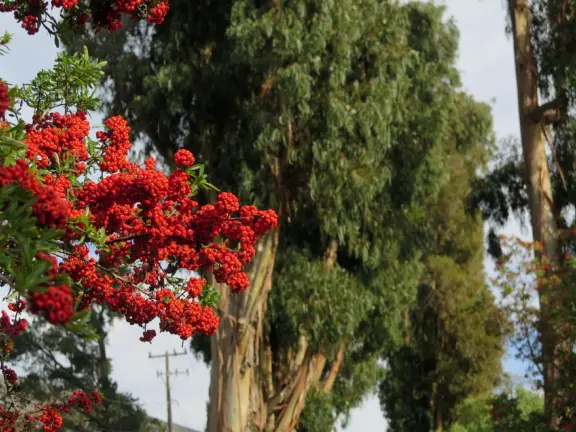 Best playground you'll ever visit! Huge slides, hillside slides, steep grass slope for cardboard sledding, cable zipline, and pretty trees to picnic under.