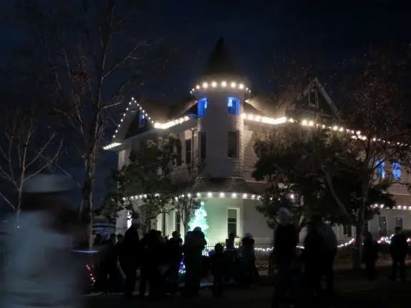 Romantic Christmas lights! Long strands of lights hanging elegantly from tall, regal trees in City Park, plus Vine Street Victorian houses.