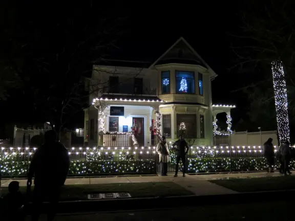 Romantic Christmas lights! Long strands of lights hanging elegantly from tall, regal trees in City Park, plus Vine Street Victorian houses.