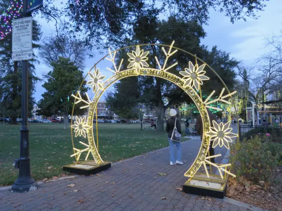 Romantic Christmas lights! Long strands of lights hanging elegantly from tall, regal trees in City Park, plus Vine Street Victorian houses.