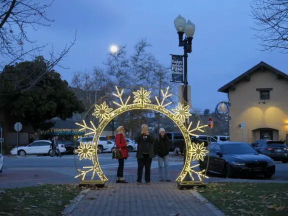 Romantic Christmas lights! Long strands of lights hanging elegantly from tall, regal trees in City Park, plus Vine Street Victorian houses.