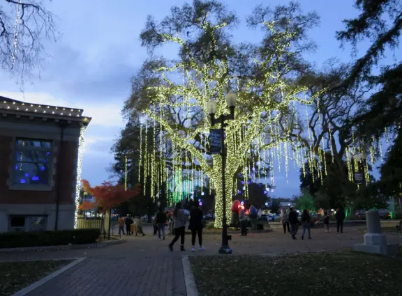 Romantic Christmas lights! Long strands of lights hanging elegantly from tall, regal trees in City Park, plus Vine Street Victorian houses.