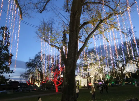 Romantic Christmas lights! Long strands of lights hanging elegantly from tall, regal trees in City Park, plus Vine Street Victorian houses.