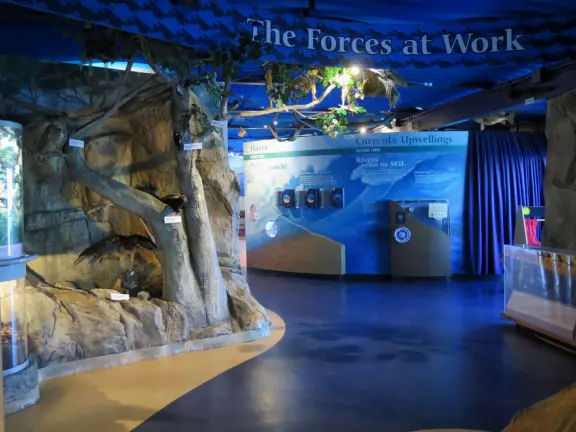 Inside the Museum of Natural History in Morro Bay.