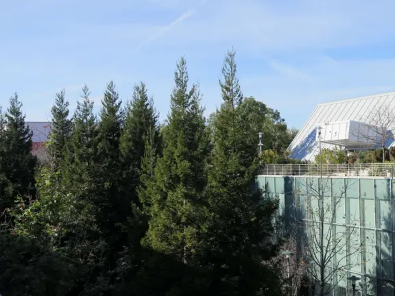 If you know someone who works at Meta, they can bring you to tour the campus!