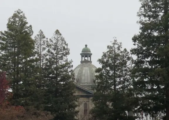 A charming strip of cafes and beautiful square in downtown Redwood City.
