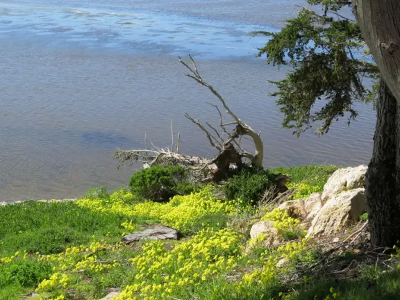 With beautiful views of the bay, and some interesting displays to check out.