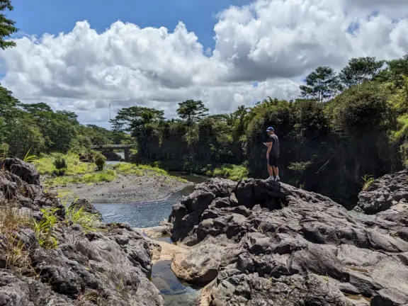 Wai'ale (Waiale) Falls is a difficult, short hike in gorgeous rainforest, to a waterfall. Those who stay behind can see the waterfall anyway, from the highway bridge!