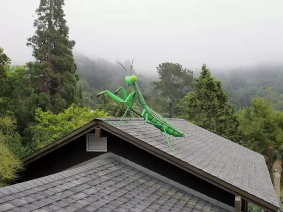 Grasshopper statue on a rooftop!