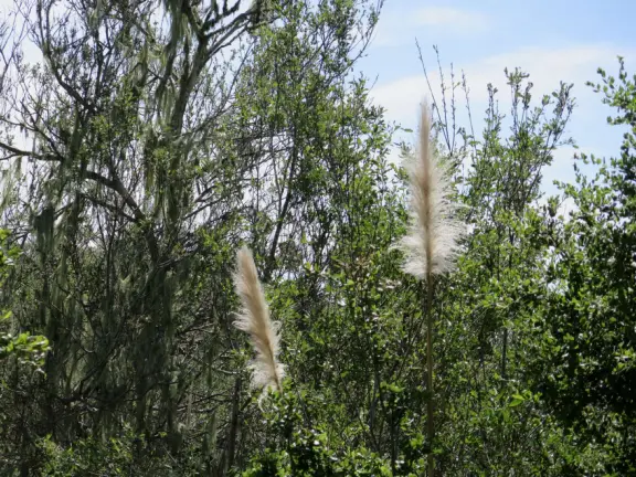 Incredible playground in a warm valley, with a pretty trail to walk.