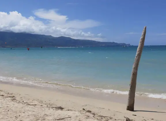 An incredibly beautiful beach with technicolor water, white sand strewn with coral, and colorful kite surfers zooming by, all framed by gorgeous mountains.