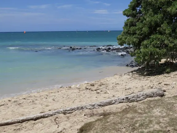 An incredibly beautiful beach with technicolor water, white sand strewn with coral, and colorful kite surfers zooming by, all framed by gorgeous mountains.