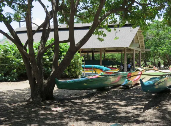 An incredibly beautiful beach with technicolor water, white sand strewn with coral, and colorful kite surfers zooming by, all framed by gorgeous mountains.