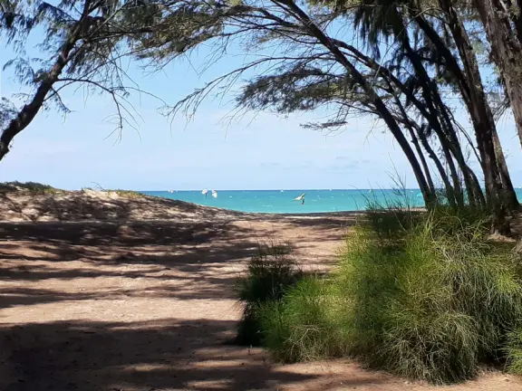 An incredibly beautiful beach with technicolor water, white sand strewn with coral, and colorful kite surfers zooming by, all framed by gorgeous mountains.