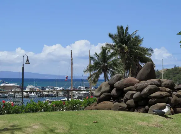 An excellent aquarium in a breezy, tropical setting at the harbor. Many interesting fish you haven't seen before!