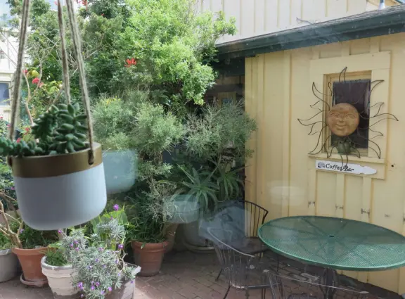 A pretty beachside town, with a wooden pier and wide windy beach with perfect views of Morro Rock, and colorful houses with gardens, backed by gently-sloping hills.