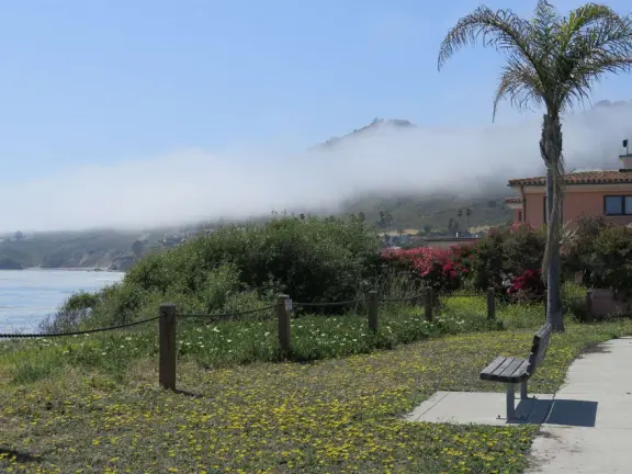 Fog rolling in!