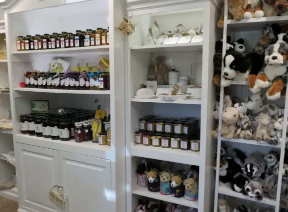Pristine farm by a hill covered in bright foliage, with oil and vinegar tasting, honey tasting, u-pick, farm store, and adorable kids area with goats, chickens, rabbits, and colorful play areas.