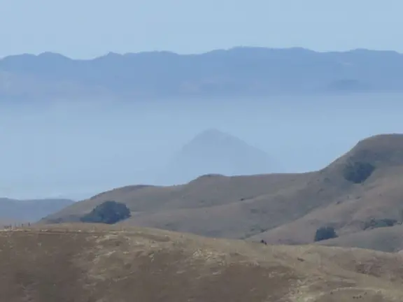 Stop to take in the sweeping views of layers of hills, the blue ocean, and Morro Rock in the distance!