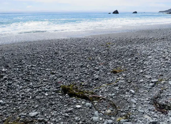 Beach that is like a dream! Crystal clear river leading to the ocean and huge white rocks.