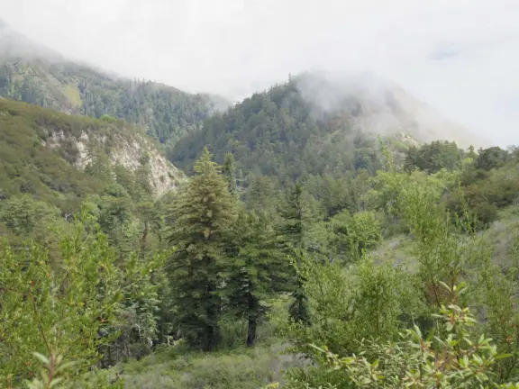 Stunning view from a bench on vertical cliffs above blue-green water.