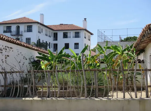 A walk amongst Santa Barbara's colonial history and beautiful Spanish-Moorish architecture.